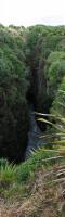 Albums/20060200-New Zealand 2006/20060313-Catlins/51